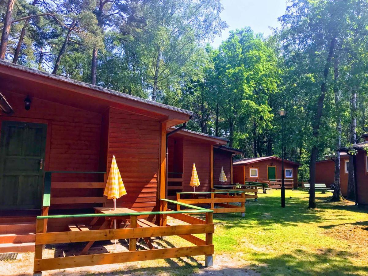 Letniskowe Maja Lodge